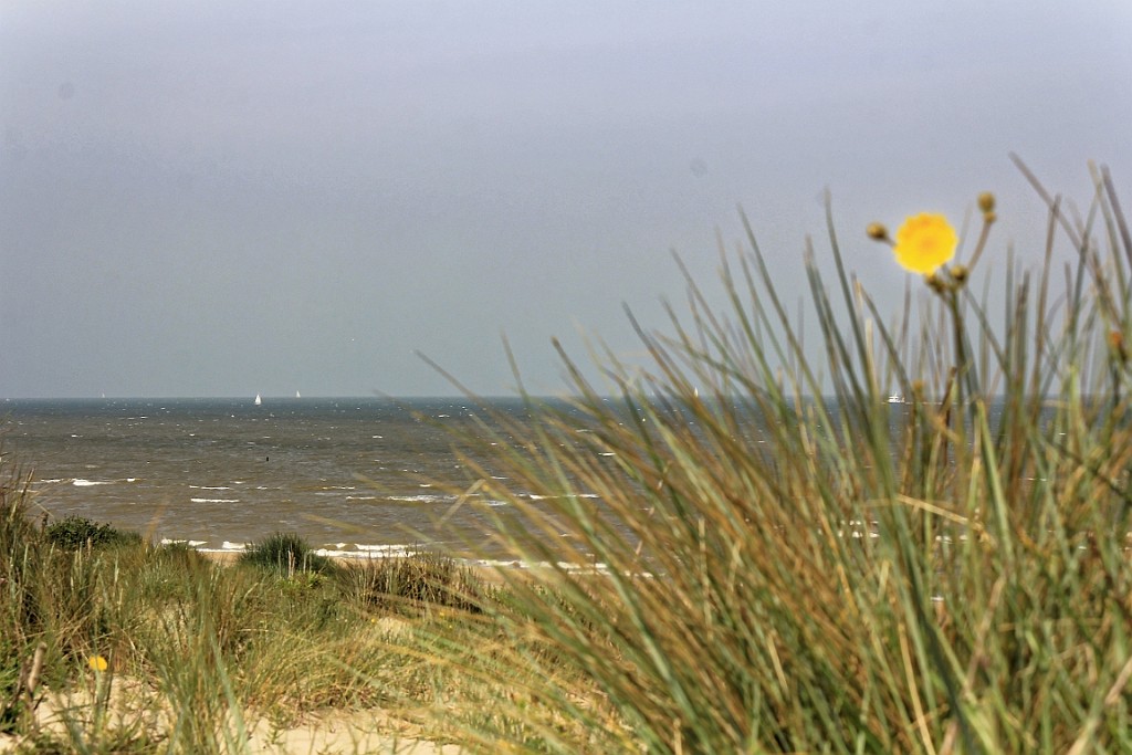 SP0617 (39).jpg